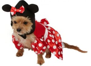 disney hundekostumer, disney kostumer til hunde, disney t&oslash;j til hunde, disney t&oslash;j til k&aelig;ledyr, sjove hundekostumer til sm&aring; hunde, disney hundegaver